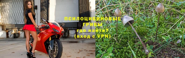 ешки Балахна