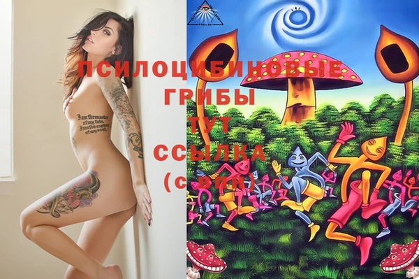 ешки Балахна