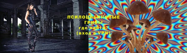 ешки Балахна
