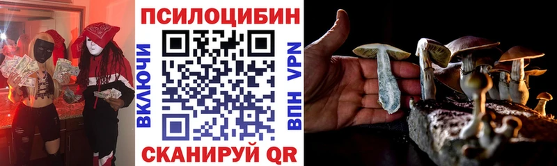 Галлюциногенные грибы Cubensis  мега ТОР  Балей 